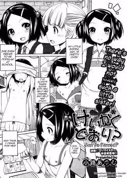 Shouji Ayumu