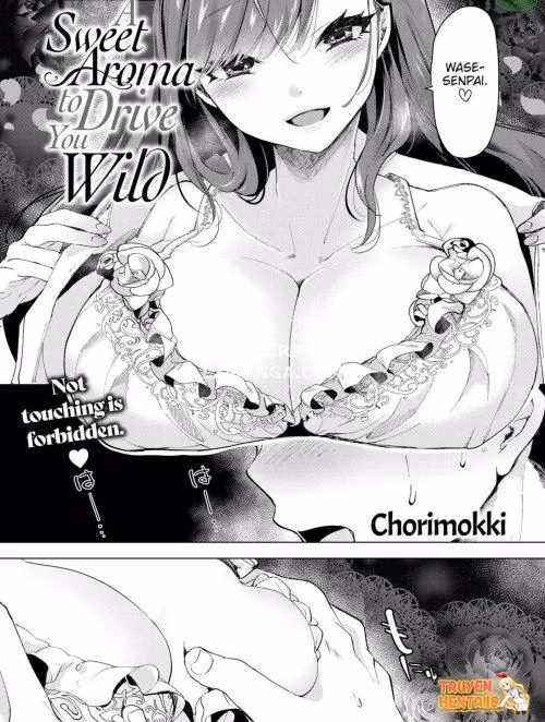 Chorimokki